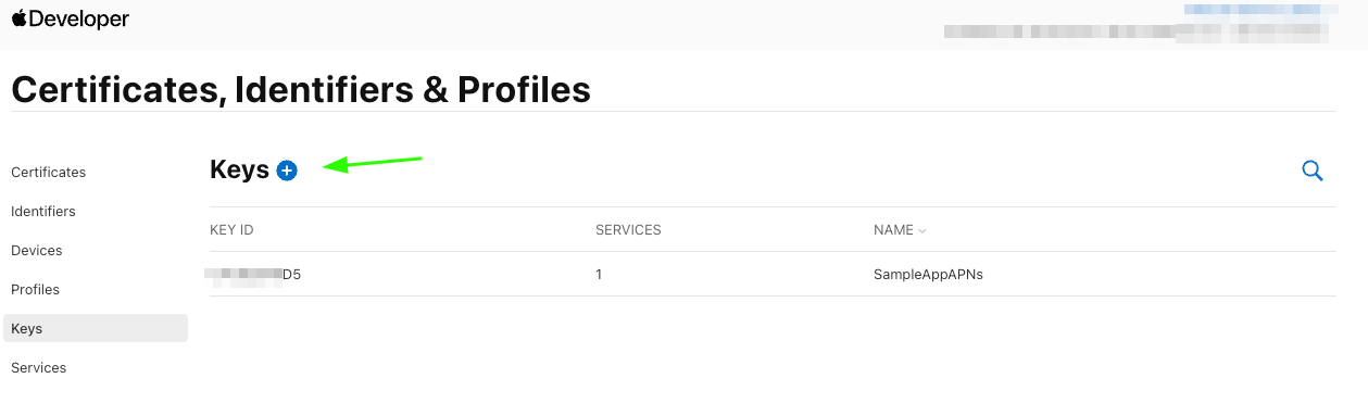 listKeysApn.png