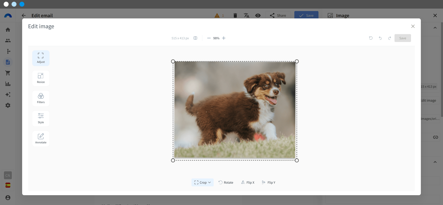Image Editor - 3-min.png