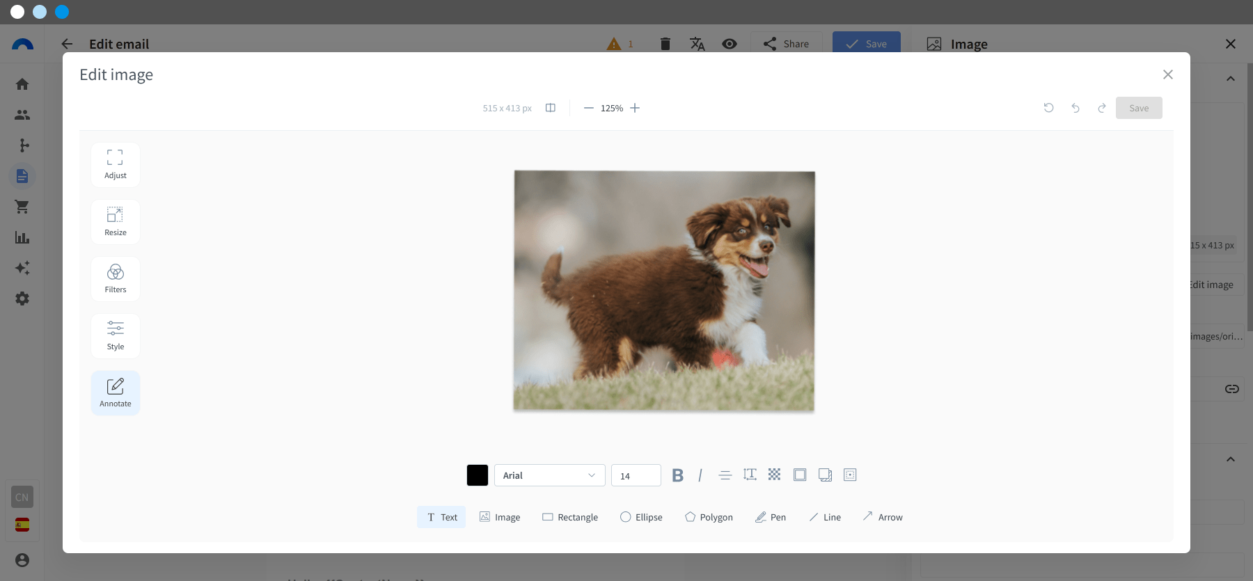 Image Editor - 7-min.png