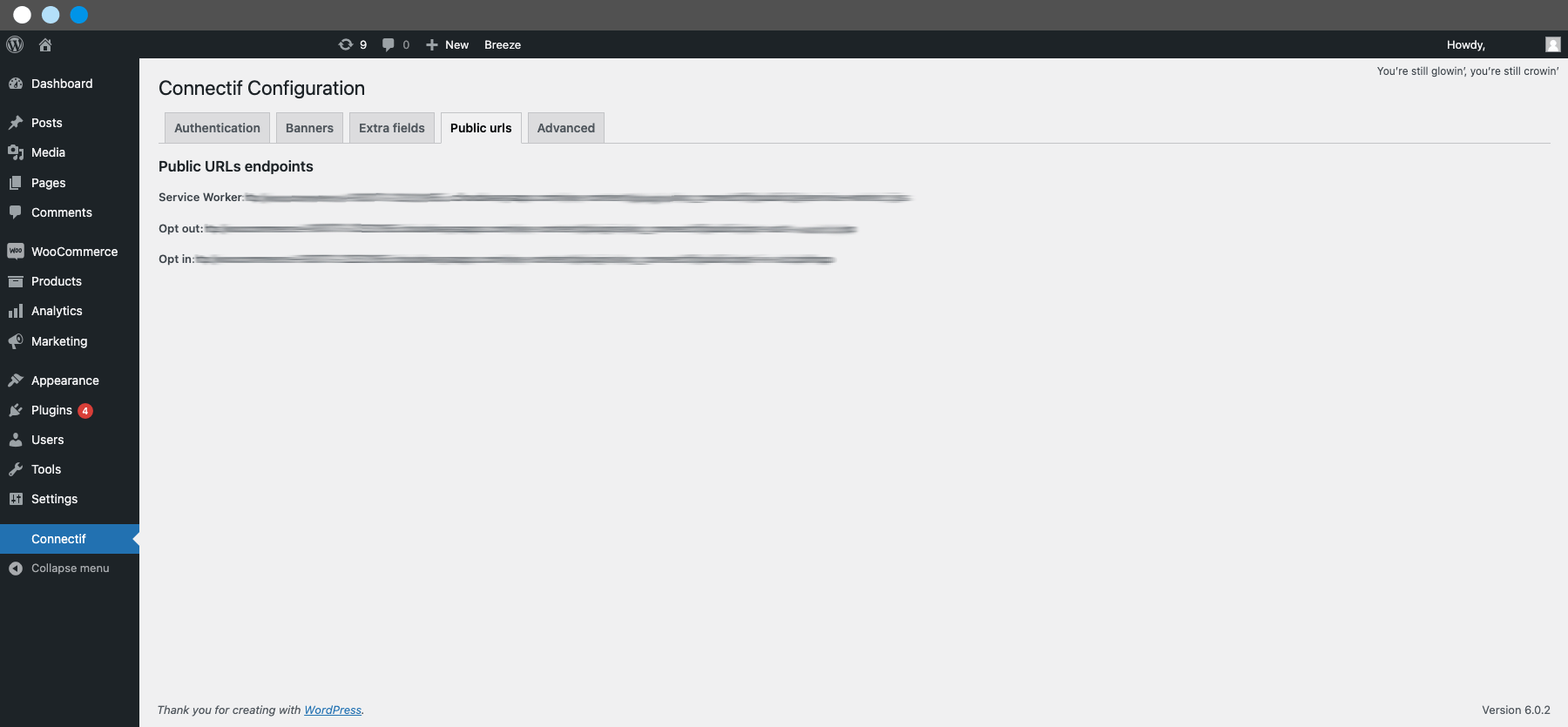 Woocommerce_Integracion_-_12.png